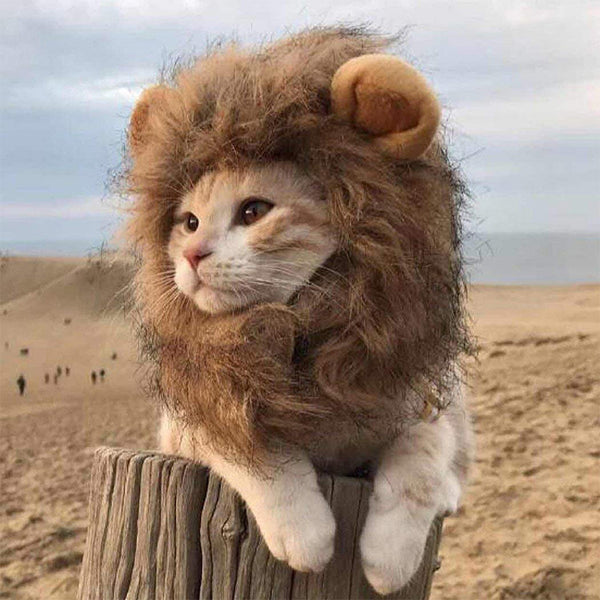 Funny Clothes For Cats Lion Mane  Costume Lion Hair Wig Cap Dog Costumes for Small Dogs Christmas Pet Halloween Costumes